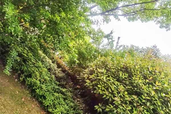 快速提高文综成绩的方法有哪些 快速提高文综成绩的方法有哪些