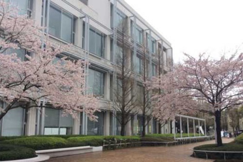 重庆科技学院本部地址在哪?校园环境好不好? 重庆科技学院本部地址在哪?校园环境好不好?