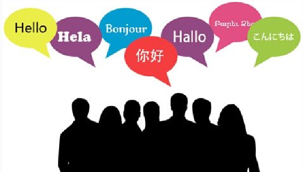 高考如何报考小语种 报考小语种有什么要求 高考如何报考小语种 报考小语种有什么要求