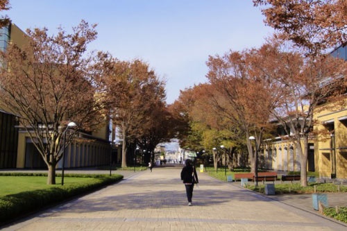 高考英语押题作文题目有哪些 高考英语押题作文题目有哪些