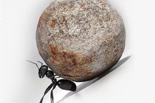 西安美术学院是几本