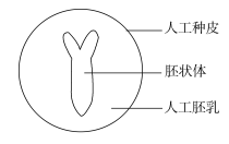 2019新疆高考理综试题及答案【word真题试卷】 2019新疆高考理综试题及答案【word真题试卷】
