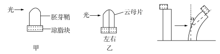 2019黑龙江高考理综试题及答案【word真题试卷】 2019黑龙江高考理综试题及答案【word真题试卷】