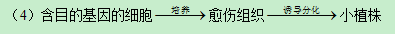 2019黑龙江高考理综试题及答案【word真题试卷】 2019黑龙江高考理综试题及答案【word真题试卷】