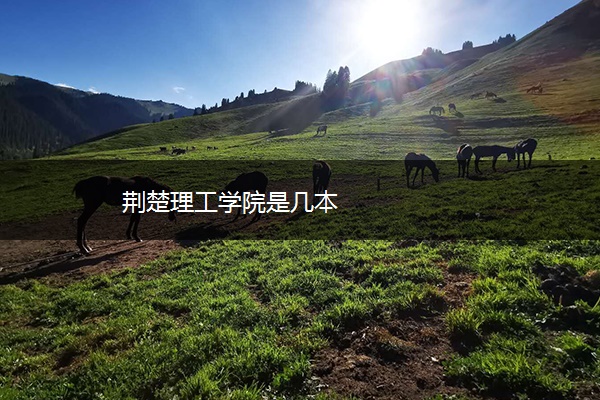 荆楚理工学院是几本 荆楚理工学院是几本