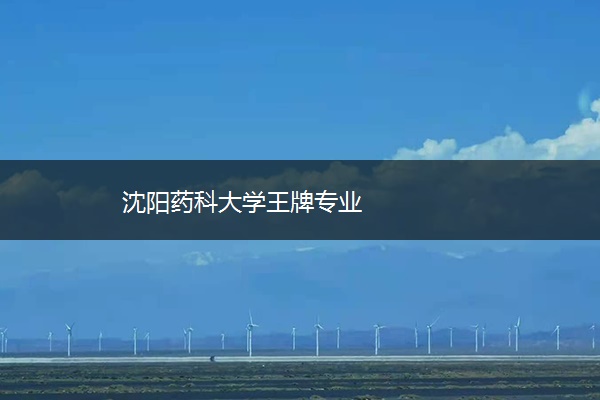 沈阳药科大学王牌专业 沈阳药科大学王牌专业