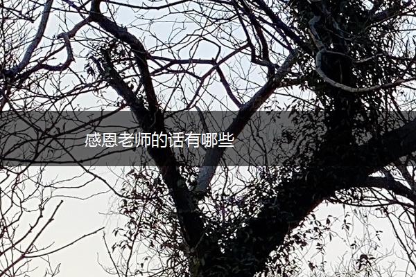 感恩老师的话有哪些 感恩老师的话有哪些