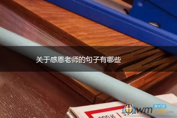 关于感恩老师的句子有哪些 关于感恩老师的句子有哪些