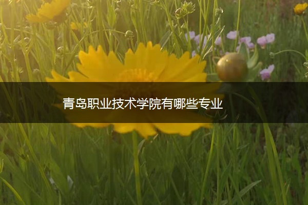 青岛职业技术学院有哪些专业 青岛职业技术学院有哪些专业
