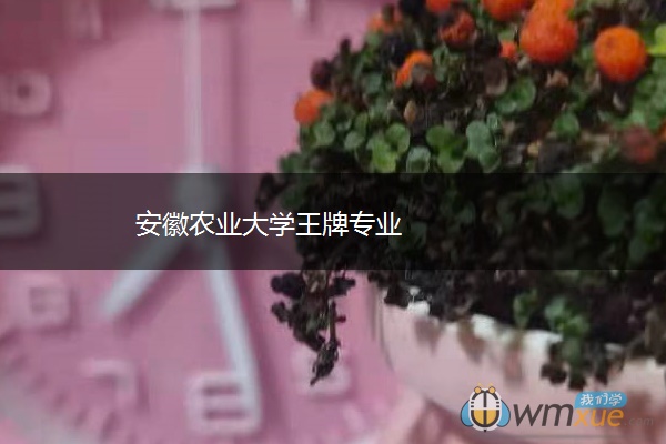 安徽农业大学王牌专业