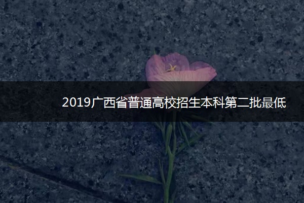 2019广西省普通高校招生本科第二批最低投档分数线 2019广西省普通高校招生本科第二批最低投档分数线