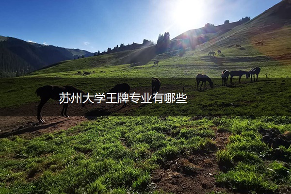 苏州大学王牌专业有哪些 苏州大学王牌专业有哪些