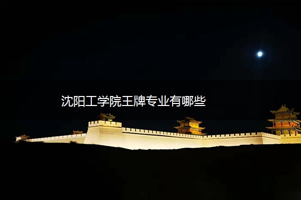 沈阳工学院王牌专业有哪些 沈阳工学院王牌专业有哪些