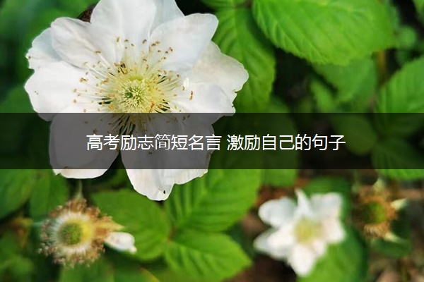 高考励志简短名言 激励自己的句子 高考励志简短名言 激励自己的句子