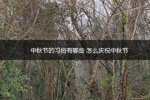 中秋节的习俗有哪些 怎么庆祝中秋节
