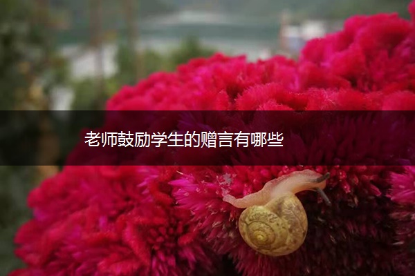 老师鼓励学生的赠言有哪些 老师鼓励学生的赠言有哪些