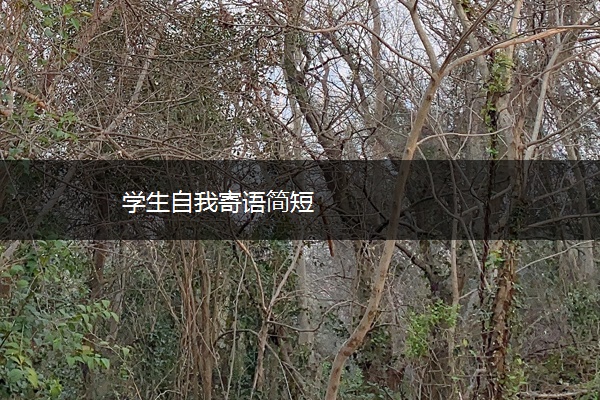 学生自我寄语简短 学生自我寄语简短