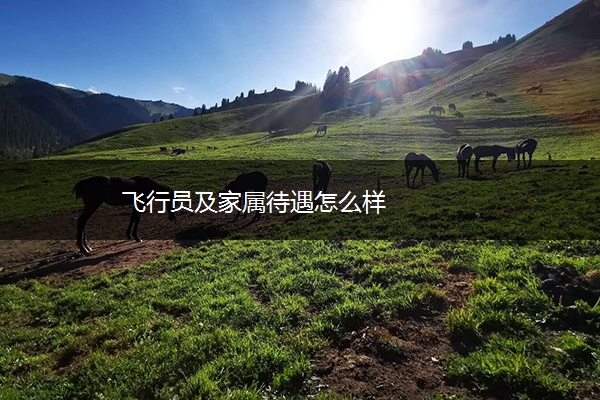 飞行员及家属待遇怎么样 飞行员及家属待遇怎么样