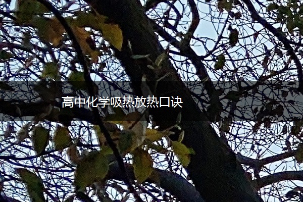 高中化学吸热放热口诀 高中化学吸热放热口诀