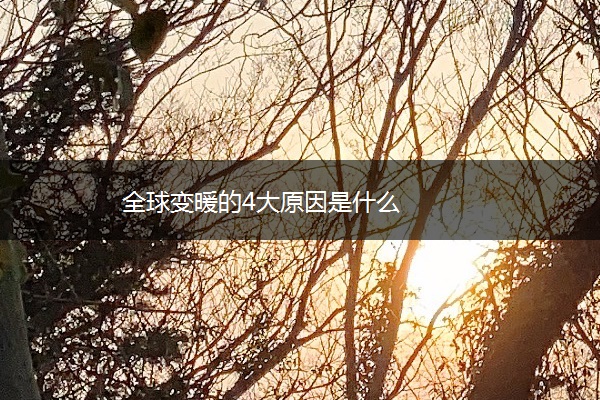 全球变暖的4大原因是什么