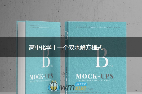 高中化学十一个双水解方程式 高中化学十一个双水解方程式