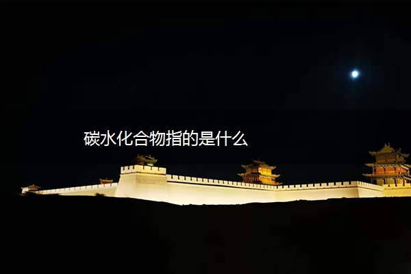 碳水化合物指的是什么 碳水化合物指的是什么
