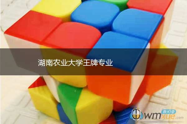 湖南农业大学王牌专业 湖南农业大学王牌专业