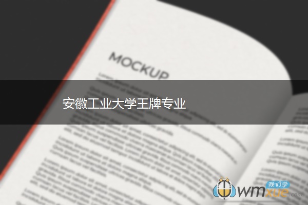 安徽工业大学王牌专业