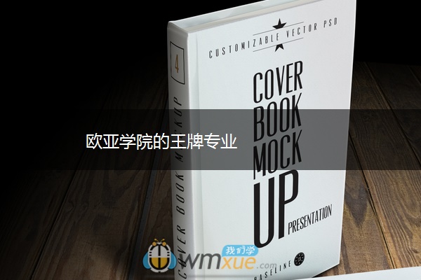 欧亚学院的王牌专业 欧亚学院的王牌专业