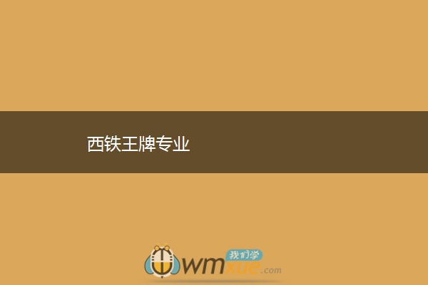 西铁王牌专业 西铁王牌专业