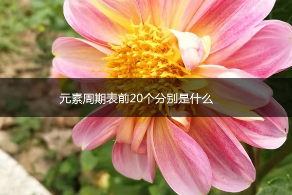 元素周期表前20个分别是什么 元素周期表前20个分别是什么