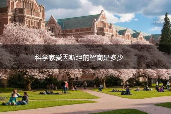 科学家爱因斯坦的智商是多少