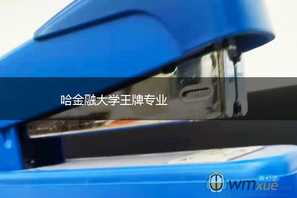 哈金融大学王牌专业 哈金融大学王牌专业