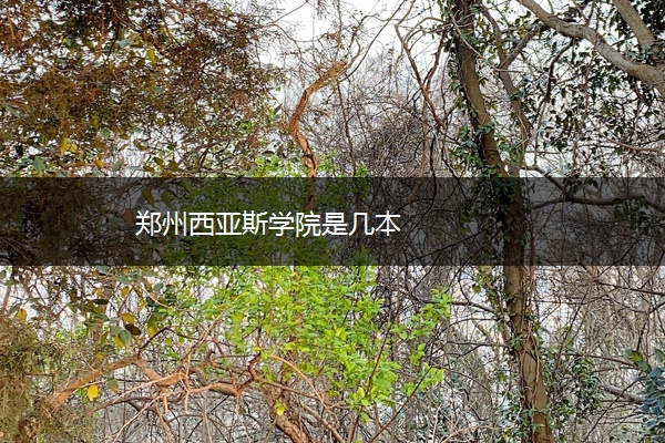 郑州西亚斯学院是几本 郑州西亚斯学院是几本