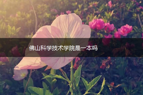 佛山科学技术学院是一本吗 佛山科学技术学院是一本吗