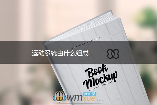 运动系统由什么组成