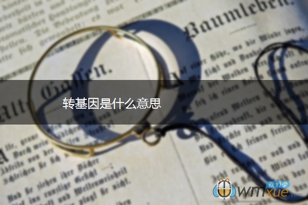 转基因是什么意思
