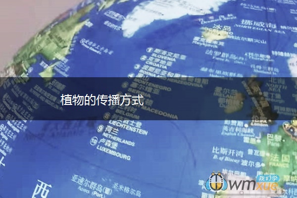 植物的传播方式