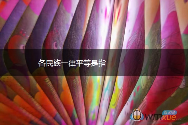 各民族一律平等是指 各民族一律平等是指