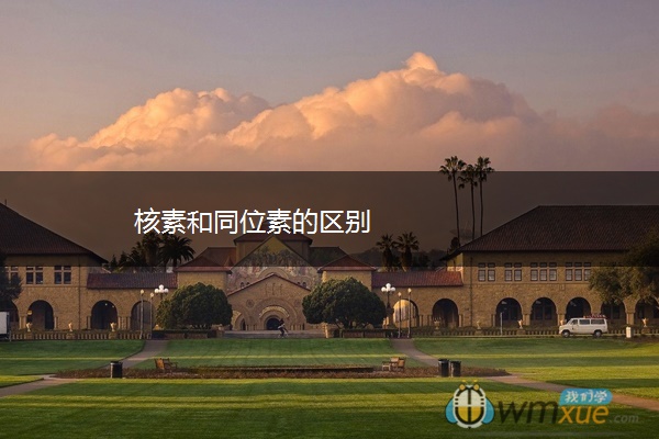 核素和同位素的区别 核素和同位素的区别