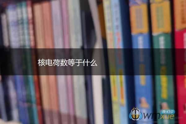 核电荷数等于什么 核电荷数等于什么
