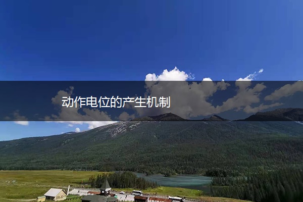 动作电位的产生机制 动作电位的产生机制