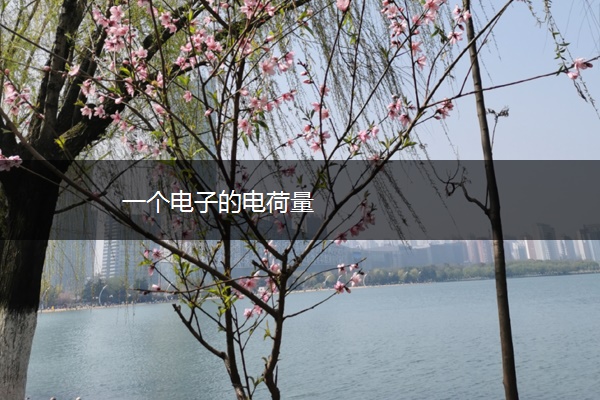 一个电子的电荷量 一个电子的电荷量