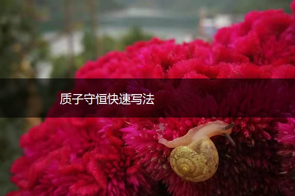 质子守恒快速写法 质子守恒快速写法