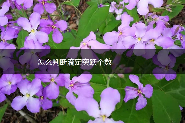 怎么判断滴定突跃个数 怎么判断滴定突跃个数