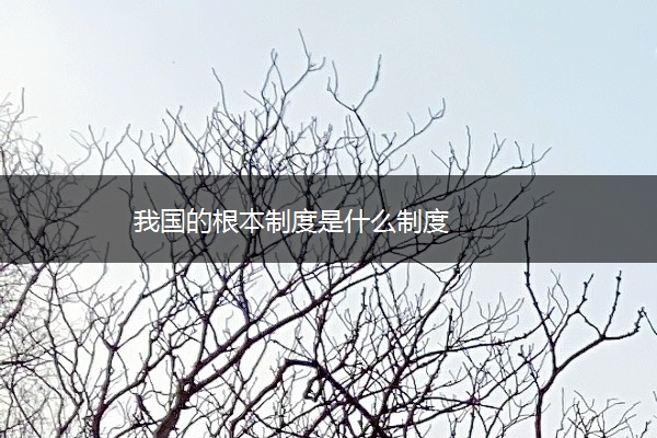 我国的根本制度是什么制度