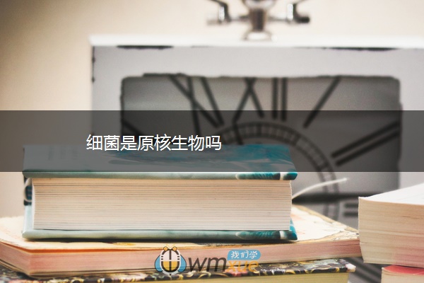 细菌是原核生物吗 细菌是原核生物吗