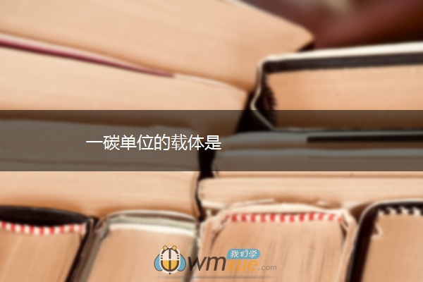 一碳单位的载体是 一碳单位的载体是
