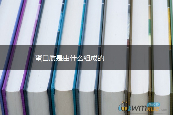 蛋白质是由什么组成的 蛋白质是由什么组成的
