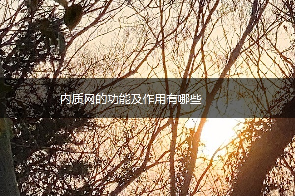 内质网的功能及作用有哪些 内质网的功能及作用有哪些